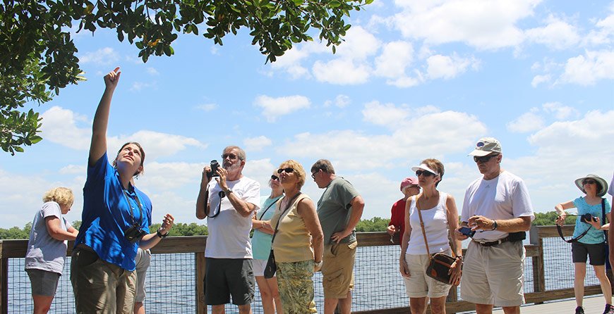 Image of the refuge tram tour at Tarpon Bay Explorers