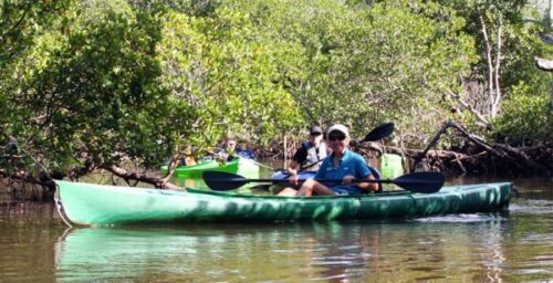 Image of kayakers on the kayak trail tour at Tarpon Bay Explorers