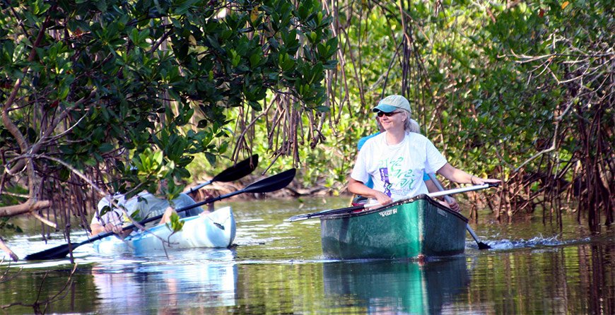 Image of kayakers on the kayak trail tour at Tarpon Bay Explorers