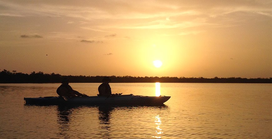 Image of the sunset rookery paddle tour at Tarpon Bay Explorers
