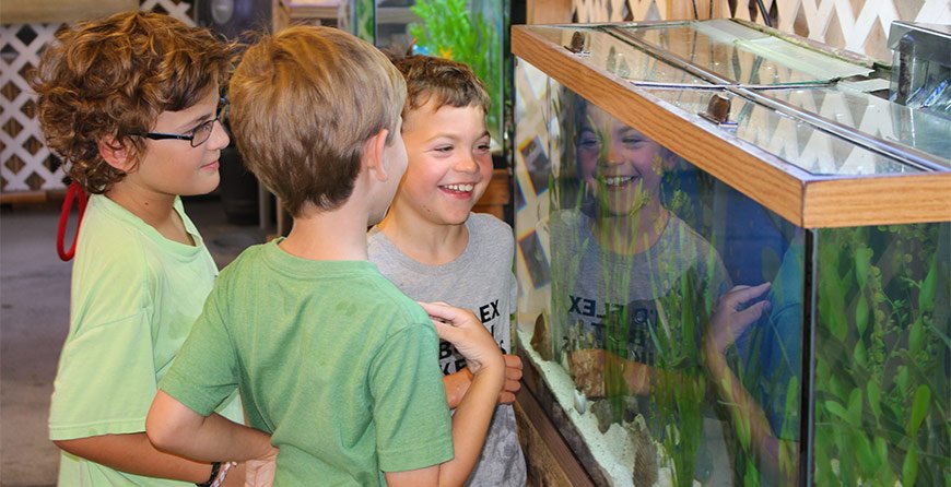 Image from the touch tank at Tarpon Bay Explorers