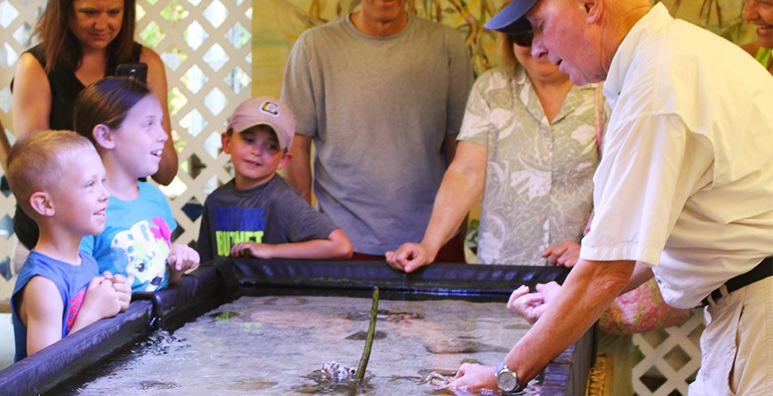 Image from the touch tank at Tarpon Bay Explorers